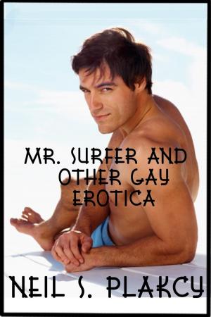 Cover of the book Mr. Surfer and Other Gay Erotica by Damian Délices