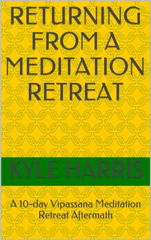 bigCover of the book Returning from a Meditation Retreat by 