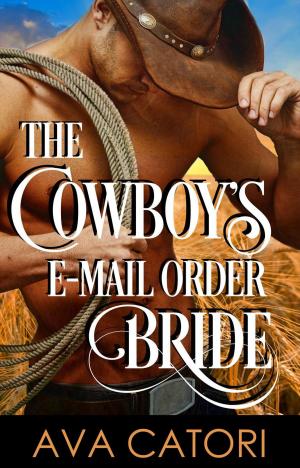 Cover of the book The Cowboy's E-Mail Order Bride by Helena Halme
