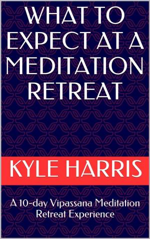 Cover of the book What to Expect at a Meditation Retreat by María Cecilia Betancur