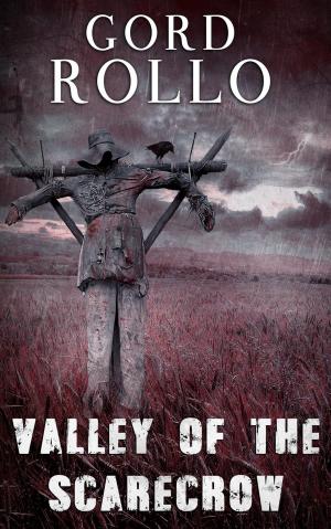 Book cover of Valley of the Scarecrow