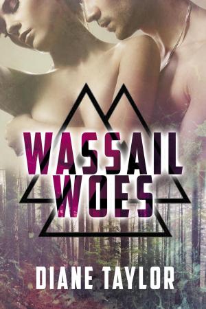 Cover of the book Wassail Woes by Lizzie Vega