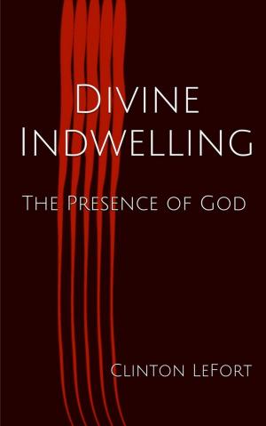 Cover of Divine Indwelling