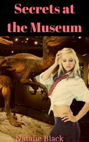 Cover of the book Secrets at the Museum by Jaime Mera