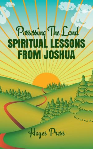 bigCover of the book Possessing the Land: Spiritual Lessons from Joshua by 