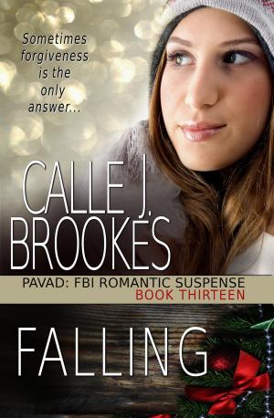 Cover of the book Falling by Robert J. McCarter