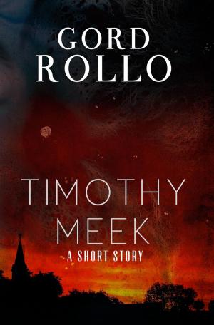 Cover of the book Timothy Meek by Benjamin D. Baker