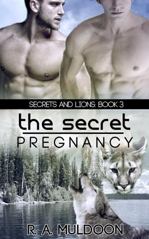 Cover of the book The Secret Pregnancy by CW Wiltshire