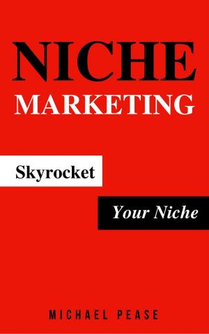 Cover of the book Niche Marketing: Skyrocket Your Niche by Ezekiel Inyang