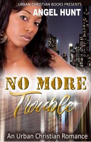 Cover of No More Trouble
