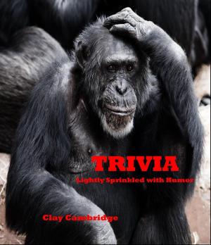 Cover of the book Trivia Lightly Sprinkled With Humor by Nancy Howland Walker