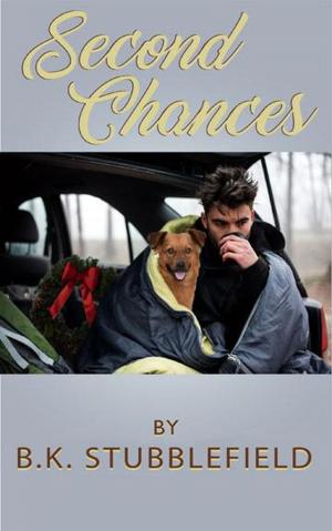 Cover of the book Second Chances by Amalia Rossi Carelli