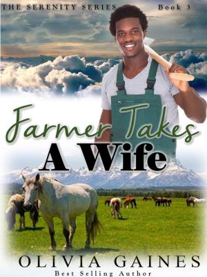 Cover of the book Farmer Takes A Wife by Lauren Fraser