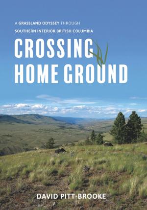 Book cover of Crossing Home Ground