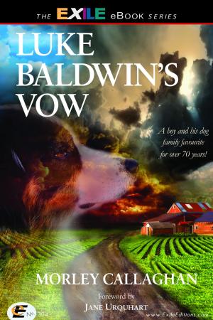 Cover of the book Luke Baldwin's Vow by Marilyn Bowering
