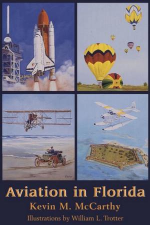 Cover of the book Aviation in Florida by Mark Stebbins