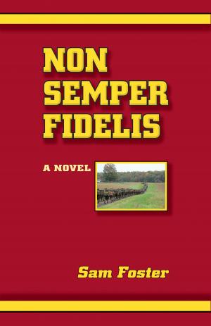 Cover of the book Non Semper Fidelis by Stina Katchadourian