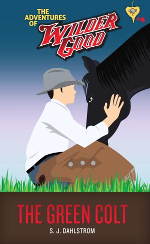 Cover of the book The Green Colt (The Adventures of Wilder Good #4) by Paula Marantz Cohen