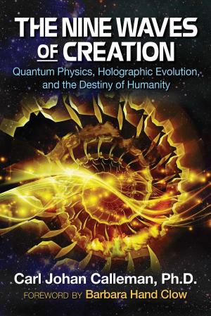 Book cover of The Nine Waves of Creation