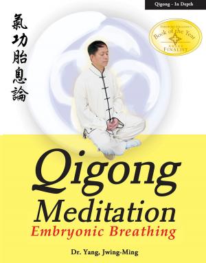 Cover of the book Qigong Meditation by David Hopkins, PhD
