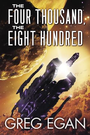 Cover of the book The Four Thousand, the Eight Hundred by Robert Silverberg