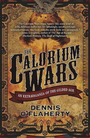 Book cover of The Calorium Wars