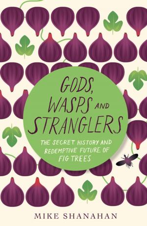 Cover of the book Gods, Wasps and Stranglers by Pete Brown