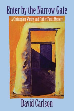 Cover of the book Enter by the Narrow Gate by David Carlson