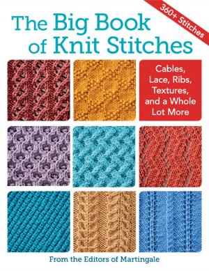 bigCover of the book The Big Book of Knit Stitches by 