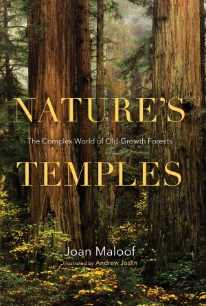 Book cover of Nature's Temples