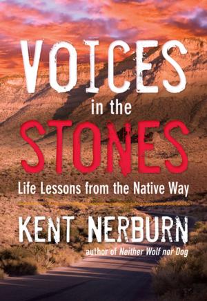 Cover of the book Voices in the Stones by Alexia Vernon