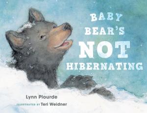 Cover of the book Baby Bear's Not Hibernating by Bill Gorman, wood Leonwood Bean