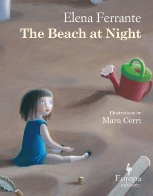 Cover of the book The Beach at Night by Jane Gardam