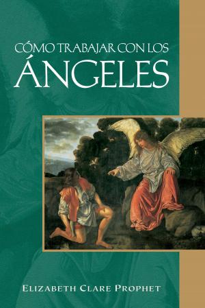 Cover of the book Cómo trabajar con los ángeles by Patricia Kirmond