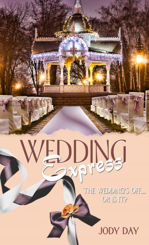 Cover of the book Wedding Express by Lilly Maytree