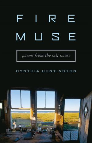 Cover of the book Fire Muse by Steve F. Anderson