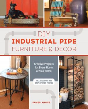 Cover of the book DIY Industrial Pipe Furniture and Decor by Christopher Berry-Dee, Steven Morris