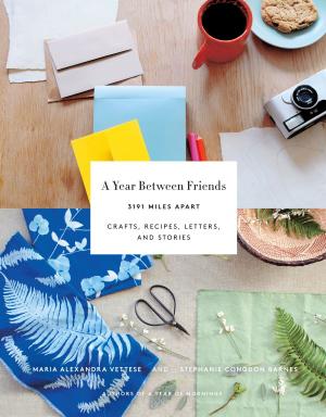 Book cover of A Year Between Friends: 3191 Miles Apart