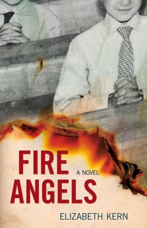 Cover of the book Fire Angels by T. K. Thorne