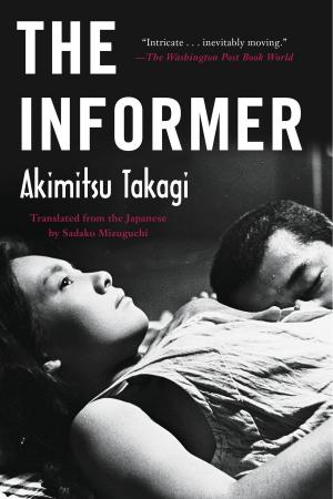 Cover of the book The Informer by Magdalen Nabb