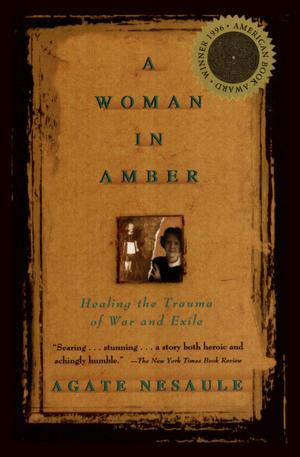 Book cover of A Woman in Amber