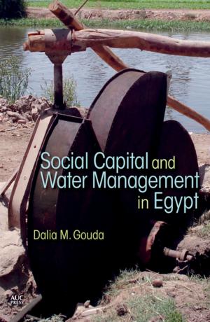 Cover of the book Social Capital and Local Water Management in Egypt by Koenraad Donker van Heel