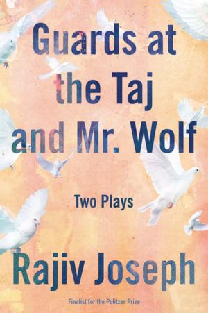 Book cover of Guards at the Taj and Mr. Wolf