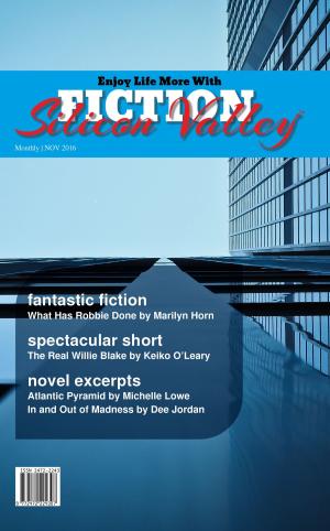 Cover of FICTION Silicon Valley
