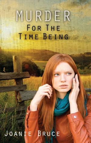 Cover of Murder for the Time Being