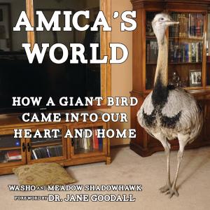 Cover of the book Amica's World by Cristy C. Road