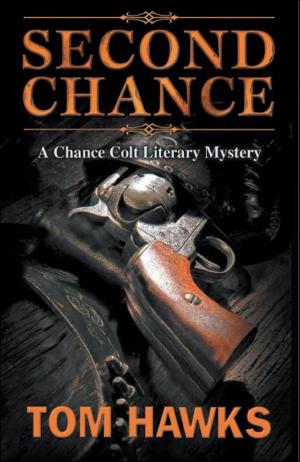 Cover of the book Second Chance by R.J. Poliquin