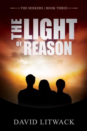 Cover of the book The Light of Reason by Lex Allen