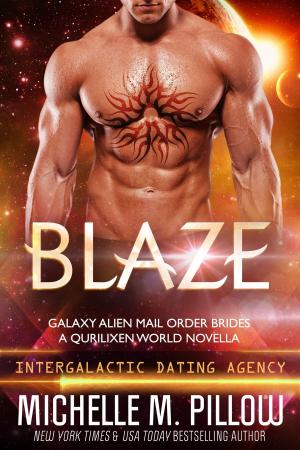 Cover of the book Blaze: A Qurilixen World Novella by Lynda O'Rourke