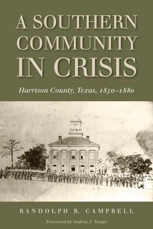 Cover of the book A Southern Community in Crisis by Kenneth Hafertepe